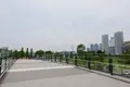 豊洲パークブリッジの写真_767528