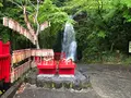 天狗の滝の写真_769832