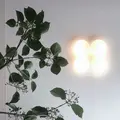 そふ珈琲の写真_771625