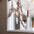 そふ珈琲の写真_771626