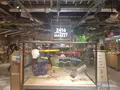2416MARKETの写真_772596
