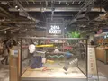 2416MARKETの写真_772597