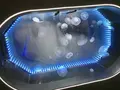 沼津港深海水族館の写真_773591