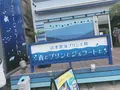 沼津深海プリン工房 スイーツ＆沼津土産の写真_773597