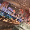 御殿場高原時之栖の写真_773601