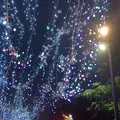 御殿場高原時之栖の写真_773602
