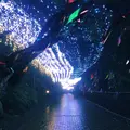 御殿場高原時之栖の写真_773603