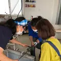 石垣島ガラス工房ポンテの写真_776496