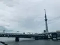 すみだリバーウォークの写真_776745