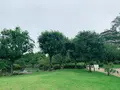 隅田公園の写真_776767
