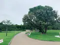 隅田公園の写真_776769