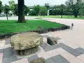 隅田公園の写真_776772