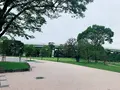 隅田公園の写真_776774