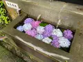 会津さざえ堂（円通三匝堂）の写真_777175