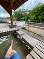湯野上温泉駅の写真_777184