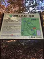 益子県立自然公園 益子の森の写真_777240