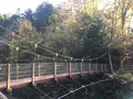 益子県立自然公園 益子の森の写真_777243
