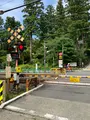円覚寺 総門の写真_778631