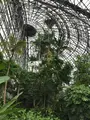 東京都夢の島熱帯植物館の写真_781601