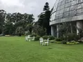 東京都夢の島熱帯植物館の写真_781602