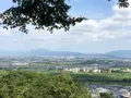 石清水八幡宮の写真_784216