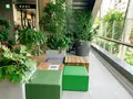MIYASHITA PARK（ミヤシタパーク）の写真_784999