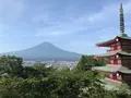 新倉山浅間公園の写真_786911