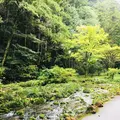 秋芳洞の写真_787598