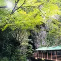 秋芳洞の写真_787600