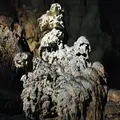 秋芳洞の写真_787607