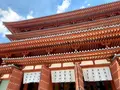 薬師寺の写真_788829