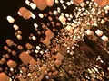【閉業】森ビルデジタルアートミュージアム：エプソン チームラボボーダレス（MORI Building Digital Art Museum: EPSON teamLab Borderless）の写真_789114