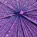 チームラボプラネッツ TOKYO (teamLab Planets TOKYO) DMMの写真_789119