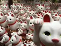 豪徳寺の写真_789251