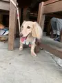 山小屋の写真_791467