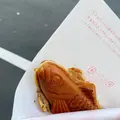 OYOGEの写真_792060