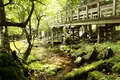 湯ノ湖の写真_792531