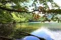 湯ノ湖の写真_792532