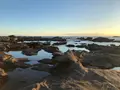 城ヶ島 馬の背洞門の写真_794125