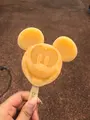 東京ディズニーランドの写真_801020