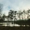 白樺湖ホテルパイプのけむりの写真_804409