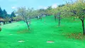 伊勢崎市いせさき市民のもり公園の写真_805103