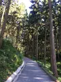 塩澤山 寳光寺 鹿野大佛の写真_808232