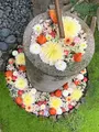 行田八幡神社の写真_812324