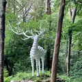 明治神宮の写真_816145