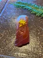 いけす円座の写真_816186