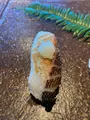 いけす円座の写真_816190