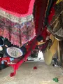 近江八幡の町並みの写真_817577