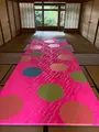 近江八幡の町並みの写真_817578