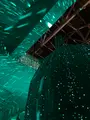 近江八幡の町並みの写真_817579